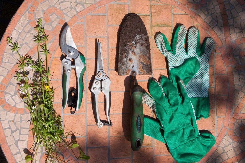 Get your tools ready including sharp, clean shears. Photo: Pexels