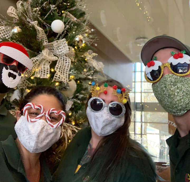 (L to R) Scott, Lisa, Rachel, and Joe hard at work on a client's holiday displays this year. plant care tips