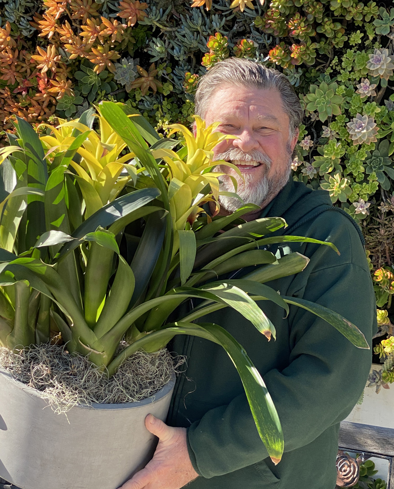 Do we love the 2021 Pantone Colors of the Year? You bet - an Ultimate Gray pot with an Illuminating yellow bromeliad is stunning! Photo: Jim Mumford