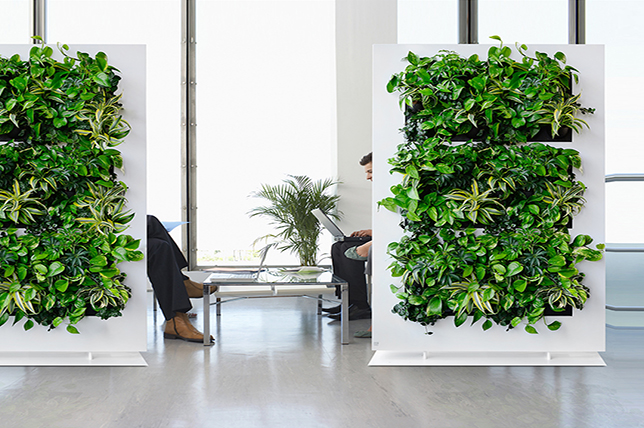 Interested in creating a welcoming collaborative office space? Contact Good Earth Plant Company for a socially distanced assessment. 