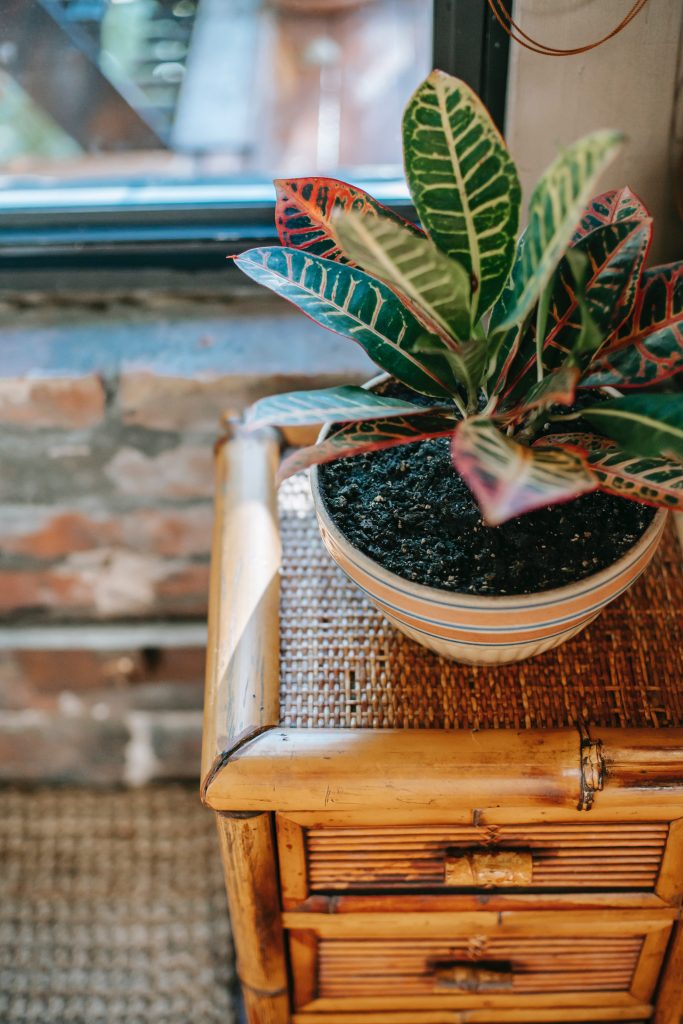 Natural materials like bamboo and rattan are popular for 2021. Photo: Charlotte May