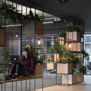 Women working on an office with lots of plants