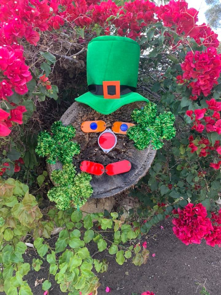 Our friend Stumpy, who lives in Jim Mumford's yard, is excited to celebrate St. Patrick's Day. Photo: Jim Mumford