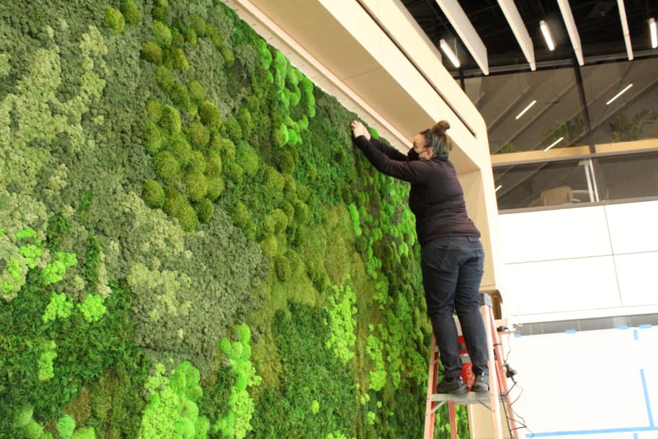 Everything You Need to Know About Moss Walls