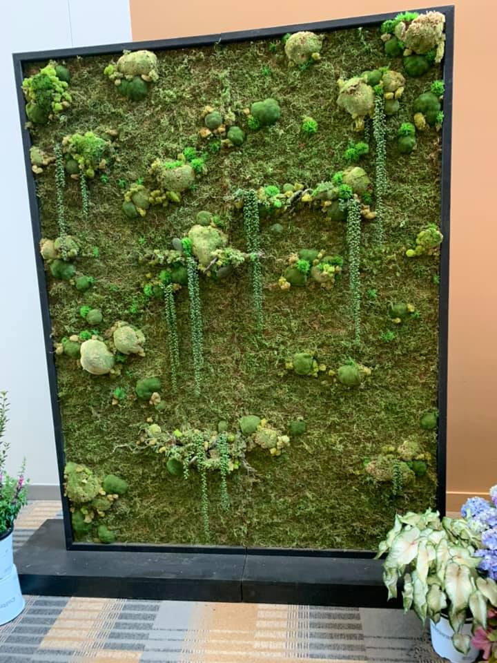 Our colleagues at Oakland Green Interiors displayed this beautiful moss wall. We came back to San Diego with lots of good ideas! Photo: Jim Mumford