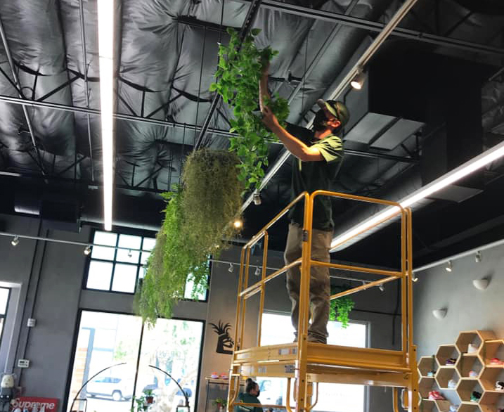 We designed custom workplace greenery displays including overhead plants to their tall warehouse height ceilings, hanging along secured wires.