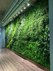 Our most recent living wall installation, a project in Los Angeles. Photo: Good Earth Plant Company