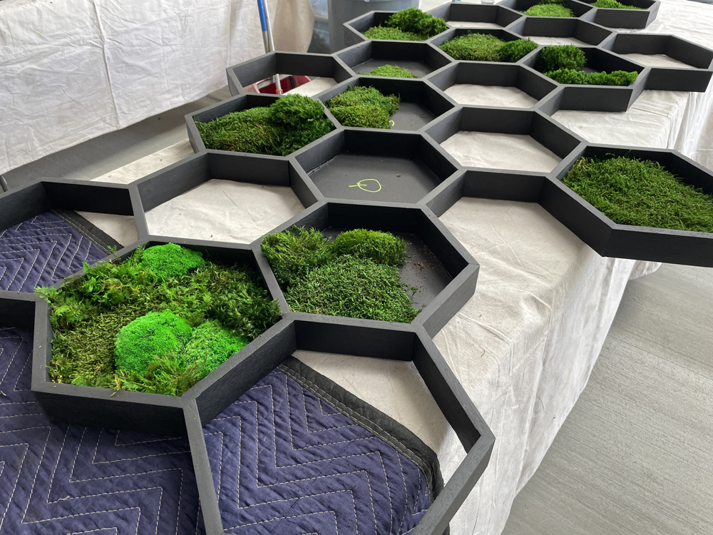 The custom moss wall art in progress for our award winning client, American Assets Trust. ALL the moss we use is from sustainable sources. Photo: Jim Mumford sustainability must