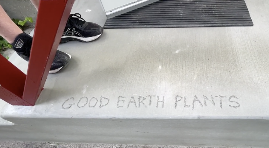 Take a virtual tour of our brand new biophilic warehouse at Good Earth Plant Company.