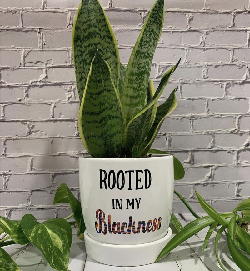 https://www.etsy.com/shop/ShopDaniG black plant entrepreneurs