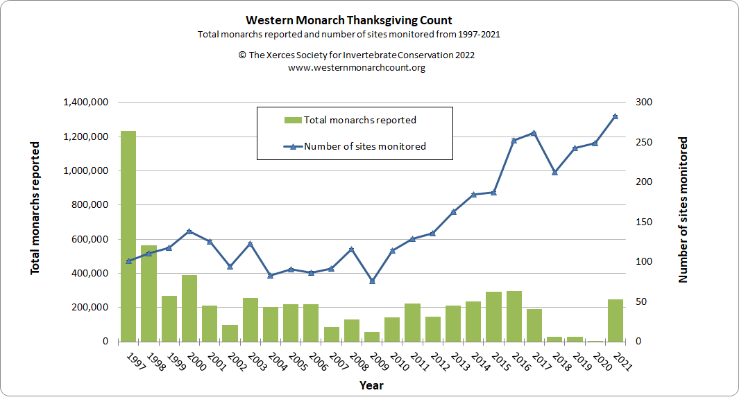 There is hopeful news about the Monarch butterfly population from the annual Thanksgiving census. Graph: Xerxes Society monarch butterflies