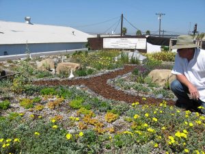 Green Roof in San Diego by Good Earth Plant co