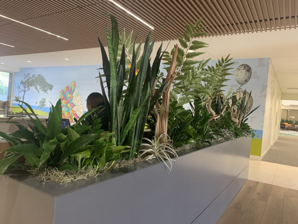 Our designs for American Assets Trust create collaborative spaces with plants as "walls." Photo: Good Earth Plant Company
