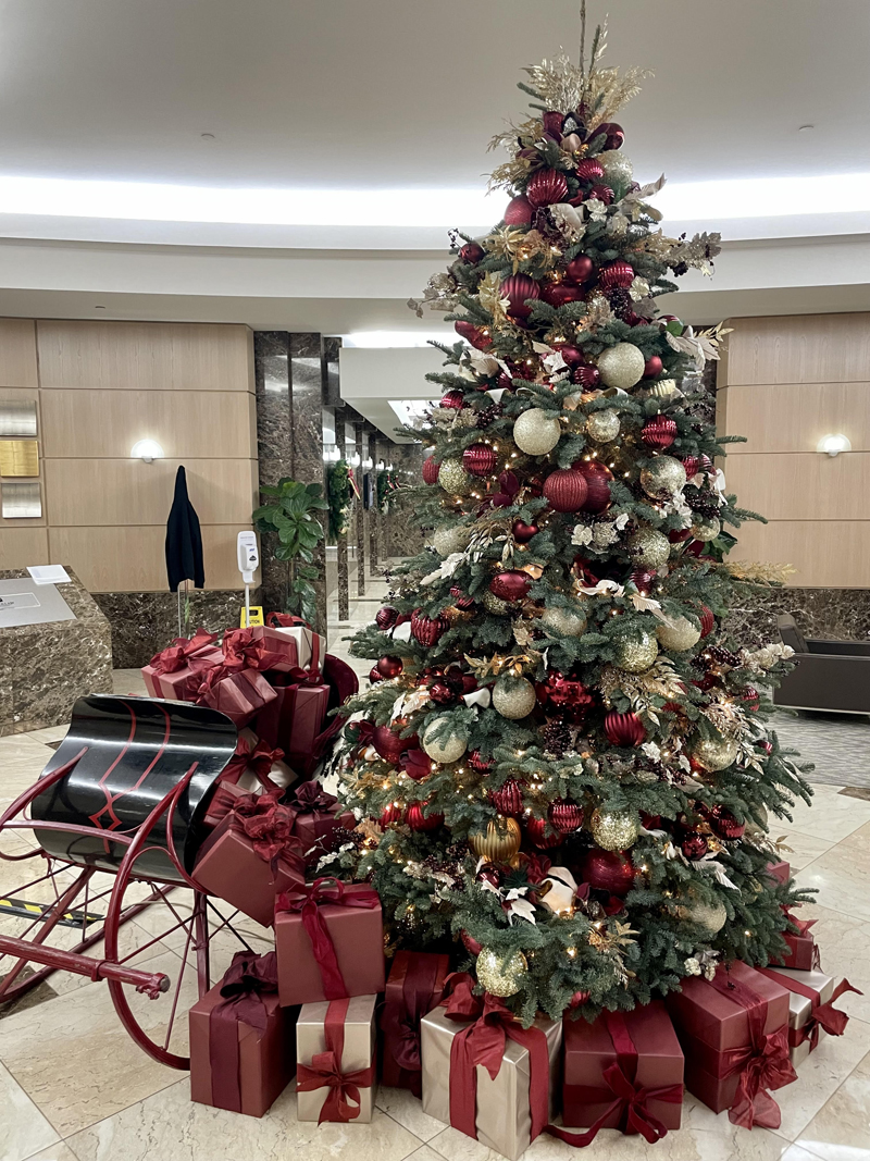 No, you don't need to check the calendar. it's Christmas in March at Good Earth Plant Company. Call this display Raspberry Wine: A beautifully lit live tree with a real antique sleigh stuffed with presents. Photo; Whinney Designs
