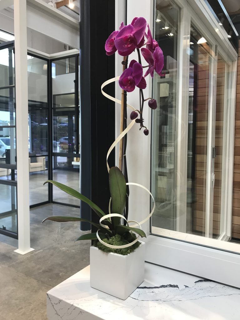 The bold color of Viva Magenta fits beautifully into a clean or neutral high tech interior design scheme. Photo: Good Earth Plant Company
