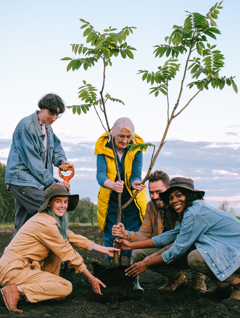 Get busy, Eco-Warriors. Plants can save the world. We just have to lend a hand. Photo: Anna Shvets