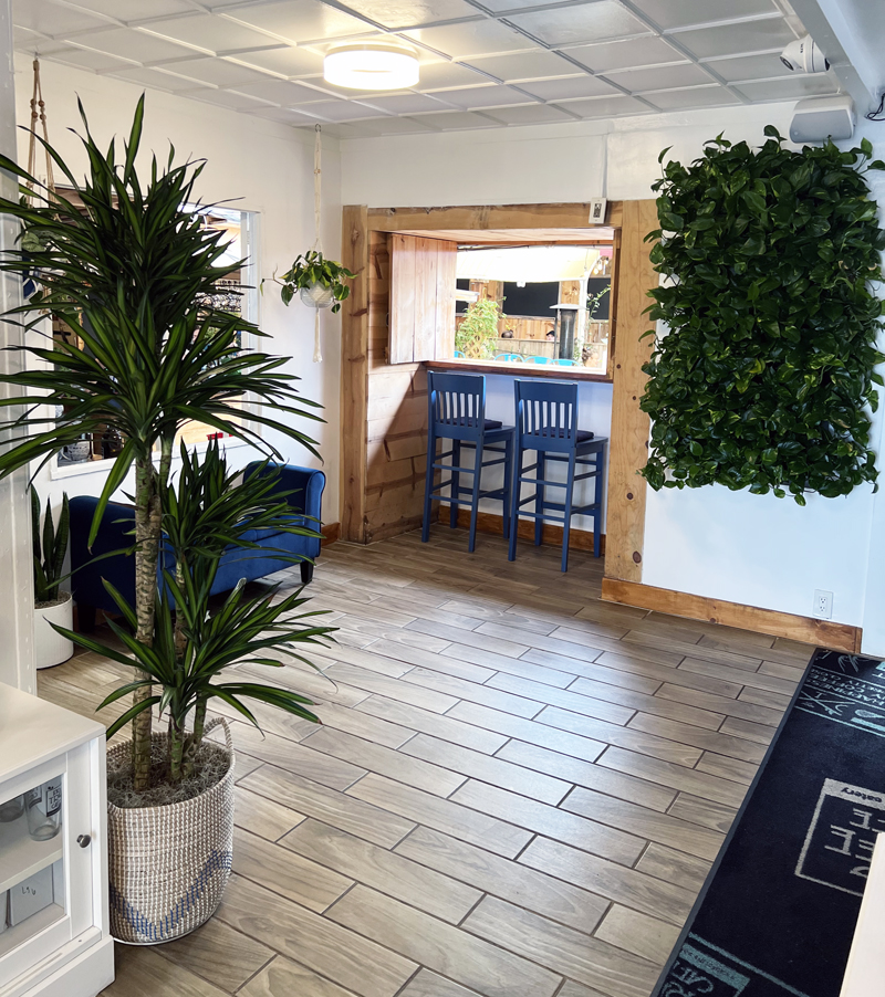 Good Earth Plant Company Designer Rachel Hecathorn wanted to retain the comfortable home feeling of Fig Tree Cafe. Photo: Jim Mumford, Good Earth Plant Company