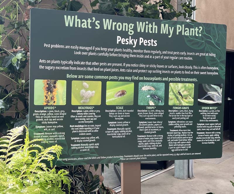 This display helps you to identify different plant pests. Photo: Jim Mumford San Diego Botanic Garden