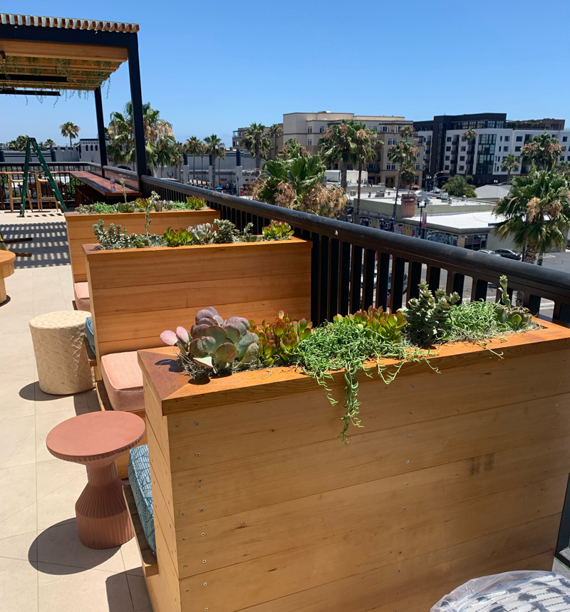Booths are divided by wood planters on the Coco Cabana rooftop lounge. Photo: Jim Mumford biophilic projects plants creativity