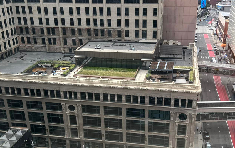 Minneapolis is a city full of green roofs like this one. Photo: Jim Mumford return to work incentive
