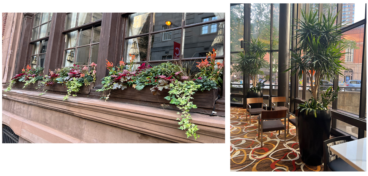 It was good to see plants everywhere both inside and outside in Philadelphia. Photo: Jim Mumford