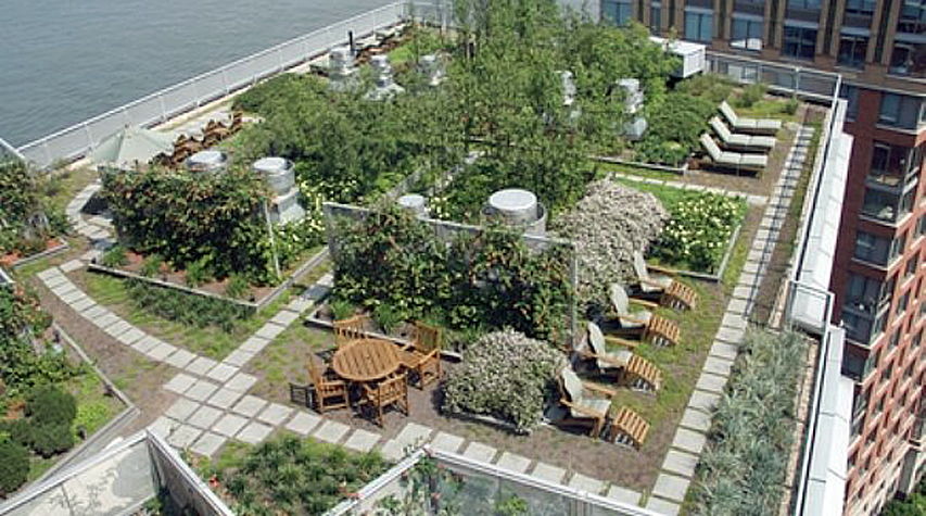 green roofs save