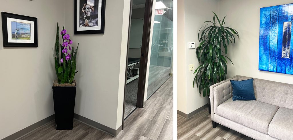 Thoughtful plant placement welcomes clients and makes the clinic a more inviting environment. Photo: Jim Mumford Fix Medical Group