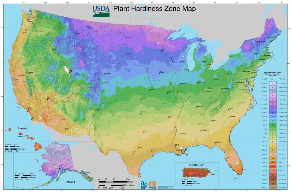 Learn about your "Hardiness Zone" and protect plants at risk of freezing - yes, even in San Diego 