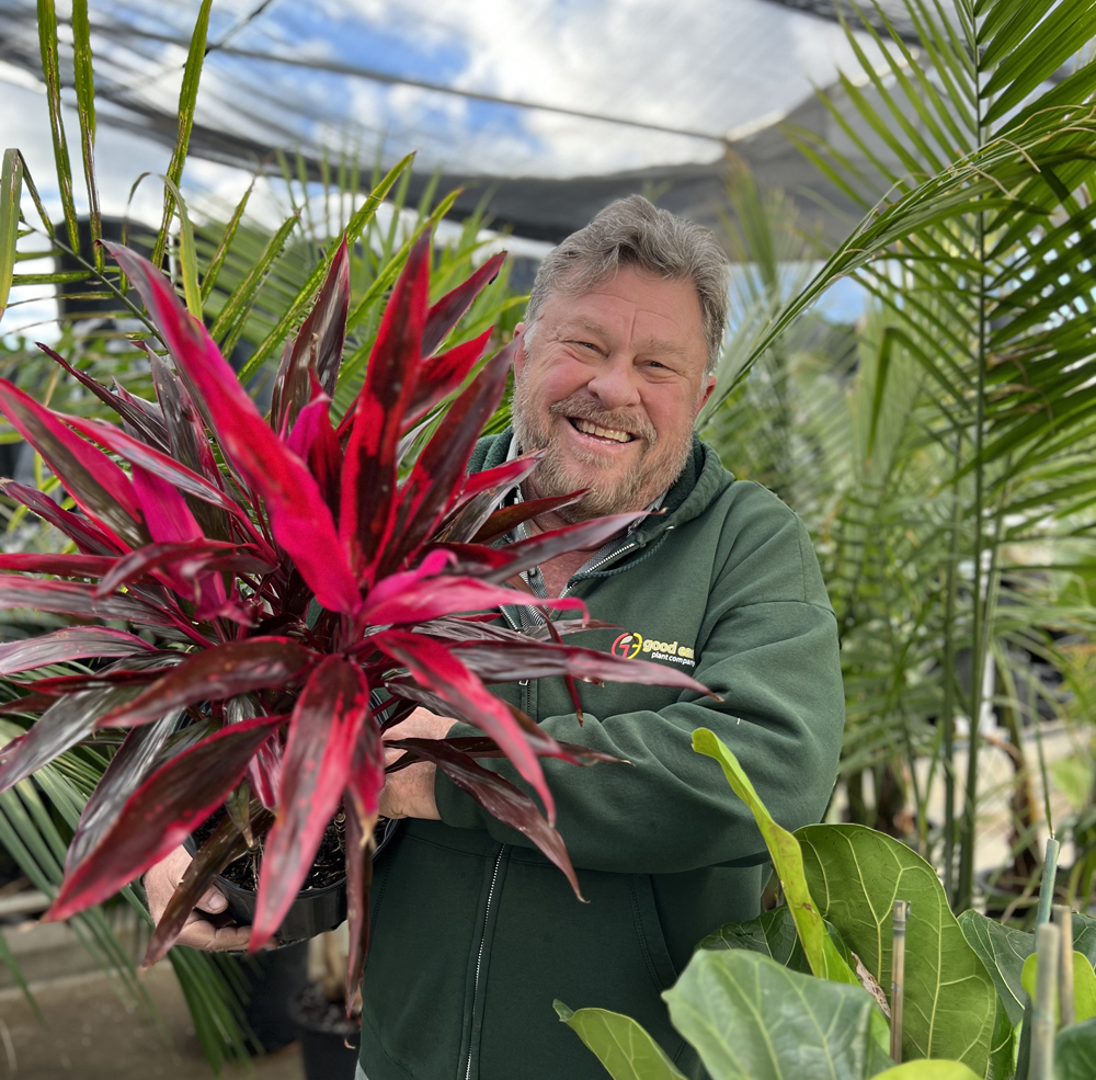Cordyline fruticosa, known as the Hawaiian Ti Plant, is a stunning example of the 2023 Pantone Color of the Year - Viva Magenta. Photo: Erin Lindley, Good Earth Plant Company