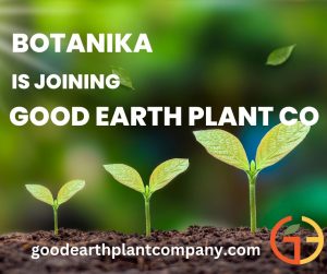 Botanika Interior Plantscapes is now part of Good Earth Plant Company