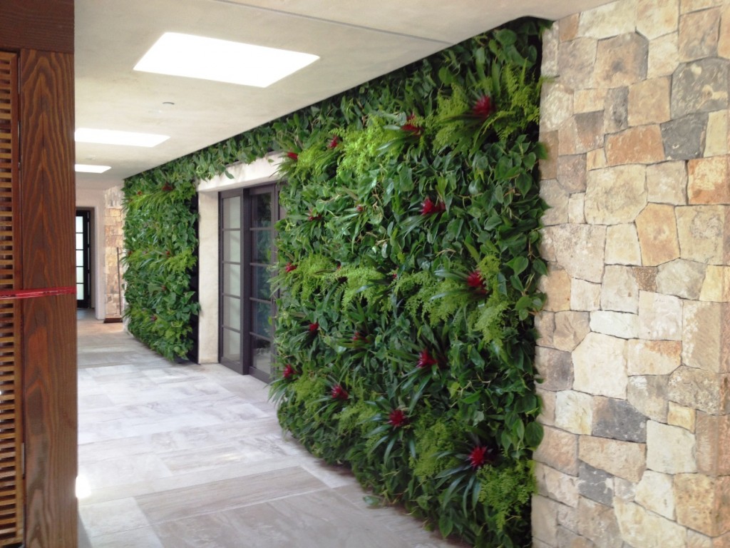 A green wall designed by Good Earth Plant Company for a Rancho Santa Fe residence.