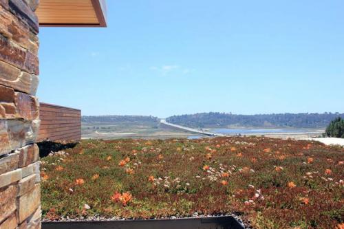 green roof at private residence-1024x683