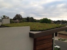Green Roof - Del Mar Residence