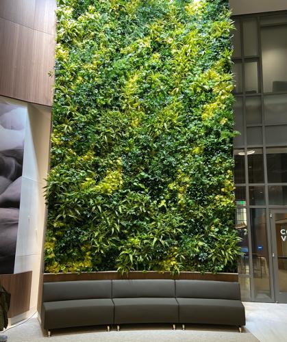The completed living wall. It is 300 square feet, and 27 feet high - the highest living wall in San Diego County.