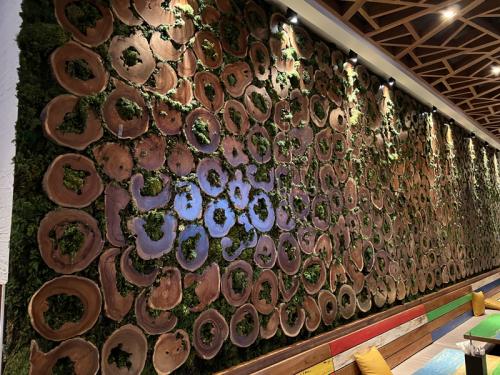 This unusual living wall uses preserved tree trunk slices along with the plant materials for a one-of-a-kind mosaic. Photo: Jim Mumford