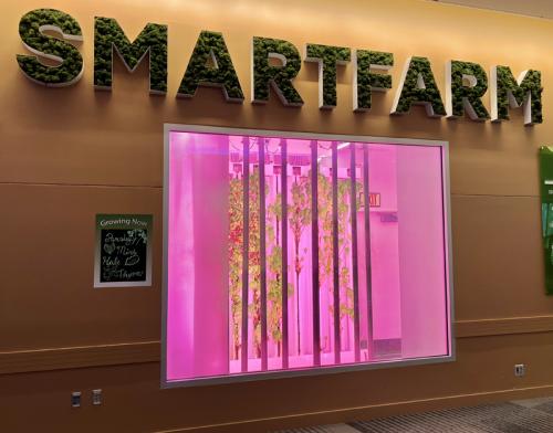 Smartfarm is a state of the art edible wall farming system. I can't wait to try this out and build one. Photo: Jim Mumford