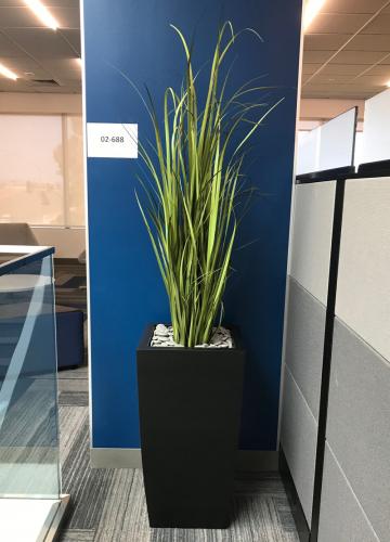 This attractive plant is a replica plant. Could you tell the difference? 
