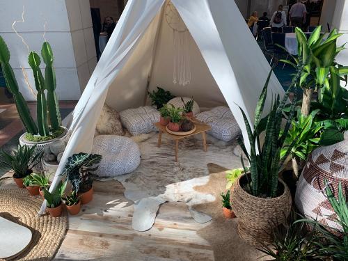 Taking glamping to a new level with plants! Photo: Jim Mumford