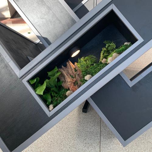 A closer look at this unusual bold plant container. Photo: Jim Mumford