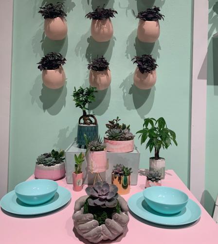 Displays plants with wall mounted containers was something we saw a lot this year. Photo: Jim Mumford