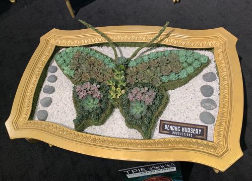 This beautiful butterfly is made of succulents. Photo: Jim Mumford