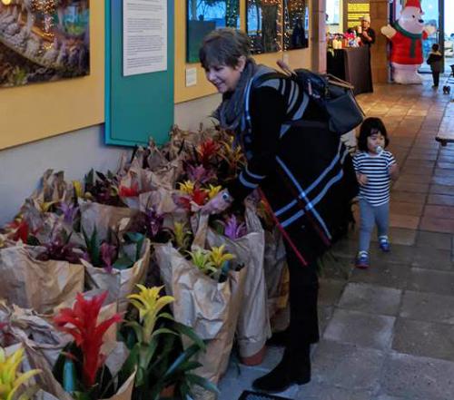 Good Earth Plant Company's donated orchids and bromeliads arrive at the Birch Aquarium.