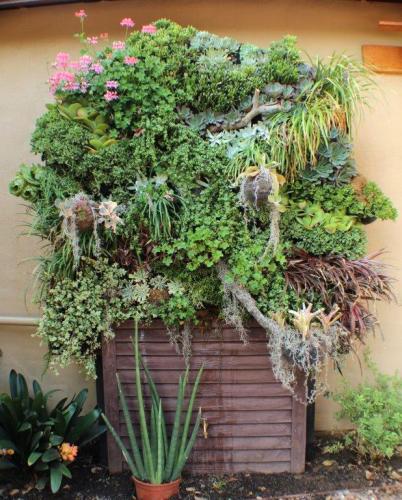 Water Conservation Garden Living Wall, Rancho San Diego